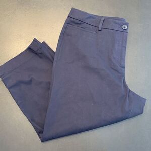 Talbots Women's Perfect Skimmer Pants Navy Blue Petite Size 10